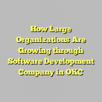 How Large Organizations Are Growing through Software Development Company in OKC