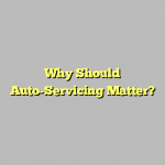 Why Should Auto-Servicing Matter?