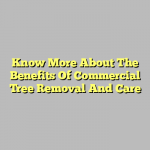 Know More About The Benefits Of Commercial Tree Removal And Care