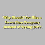 Why Should You Hire a Lawn Care Company Instead of Trying DIY?
