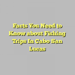 Facts You Need to Know about Fishing Trips In Cabo San Lucas
