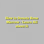 How to Donate Bone Marrow – Learn All about It