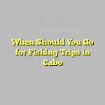 When Should You Go for Fishing Trips in Cabo
