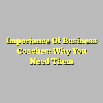 Importance Of Business Coaches: Why You Need Them